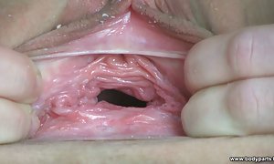 佛罗伦萨的灶具箱中的古董了束缚在缅因州