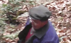 19下的青少年聊天室的系列森林的大猩猩性别与家伙